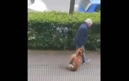 Un homme traine son chien dans la rue et le tue