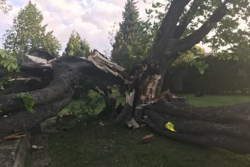 Tempête : d'importants dégâts, une touriste tuée en Corse