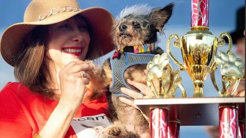 Scamp the Tramp élu chien le plus moche du monde en 2019