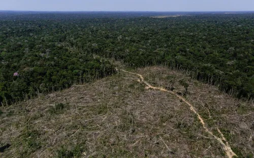 Brésil : la déforestation de l’Amazonie a augmenté de 88 % en un an
