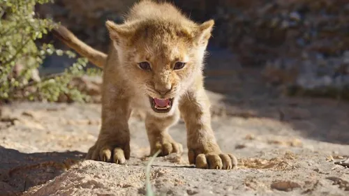 "Le Roi Lion" règne en maître sur le box office !