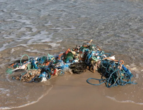 La Méditerranée est la mer la plus polluée d'Europe