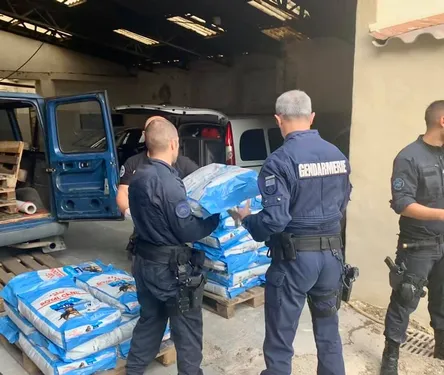 La gendarmerie démantèle un trafic... de croquettes !