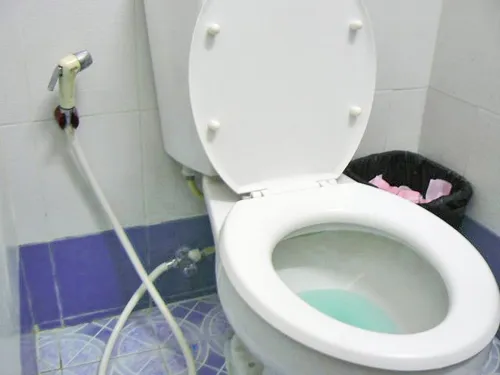 Un restaurant belge sert de l’eau filtrée de ses toilettes à ses...