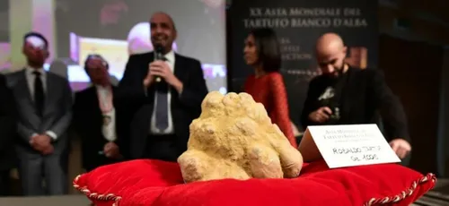 Une truffe blanche adjugée 120 000 euros en Italie