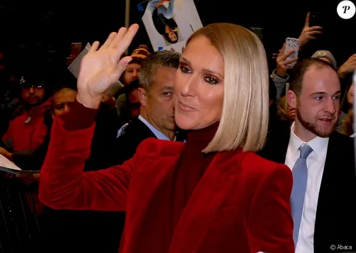 Céline Dion à Monaco : des billets qui coûtent minimum 610 euros