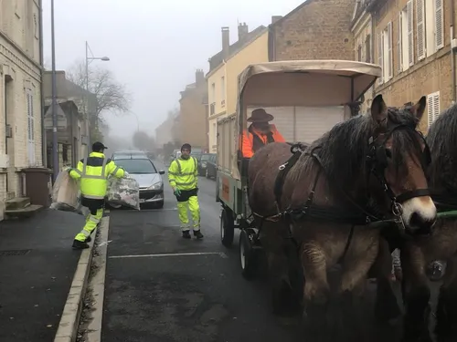 Une calèche et deux chevaux remplacent les camions-poubelles à...
