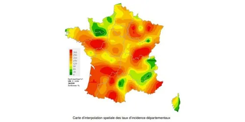 La gastro-entérite arrive pour les Fêtes !