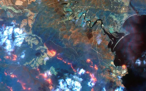 Australie : le "méga-feu" sous contrôle et la pluie espérée