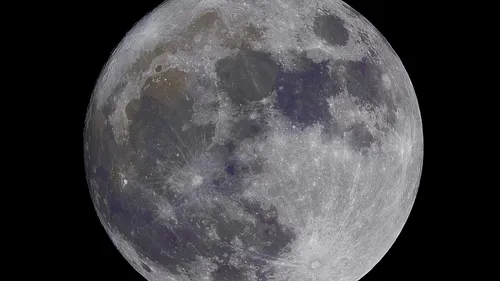 Un milliardaire recherche une compagne pour le suivre sur la lune