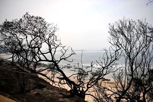 La pluie tombe enfin en Australie !
