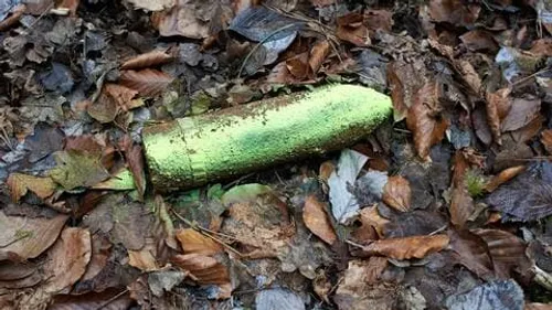 Il apporte un obus en classe et provoque l'évacuation de son collège