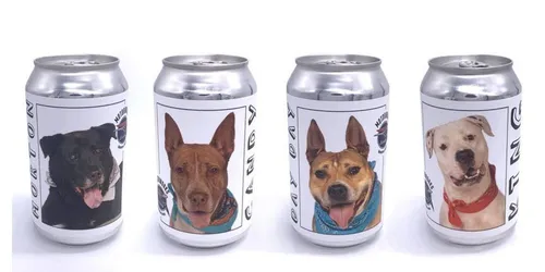 3 ans après avoir perdu son chien, elle le reconnaît sur une...