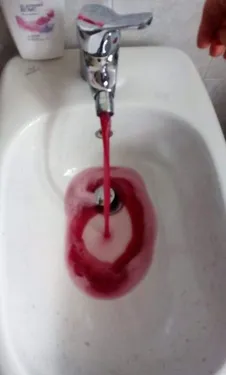 En Italie, du vin rouge sort des robinets à la place de l'eau