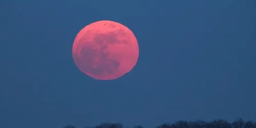 Une super lune rose visible ce soir !