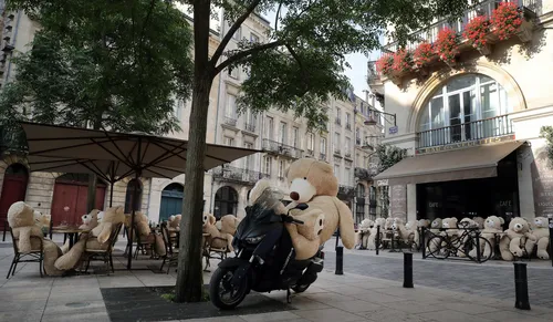 Un cafetier installe des ours en peluche géants pour faire...