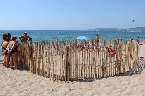 Deux tortues marines sont venues pondre leurs oeufs à Fréjus