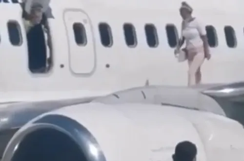 Elle a trop chaud et sort se rafraîchir sur l’aile de l’avion