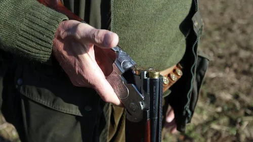 Un chasseur tue le chien tenu en laisse d’une balle dans la tête