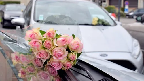 Toulouse : un inconnu dépose 50 bouquets de roses sur les voitures...