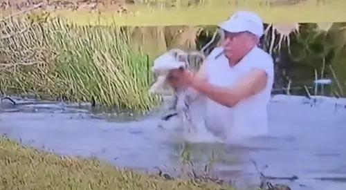Son chiot se fait happer par un alligator, il se jette à l'eau et...