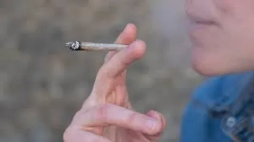 Lancement d’une consultation citoyenne sur le cannabis récréatif