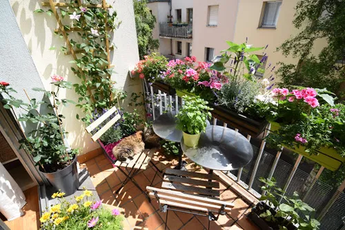 "Marseille en Fleurs" : un concours pour embellir nos rues !