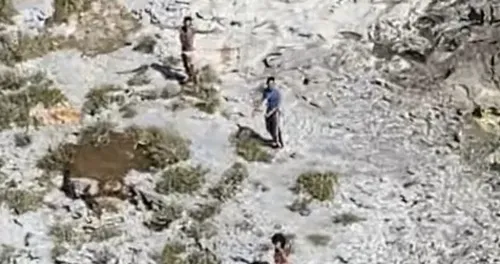 Trois naufragés sauvés après 33 jours sur une île déserte