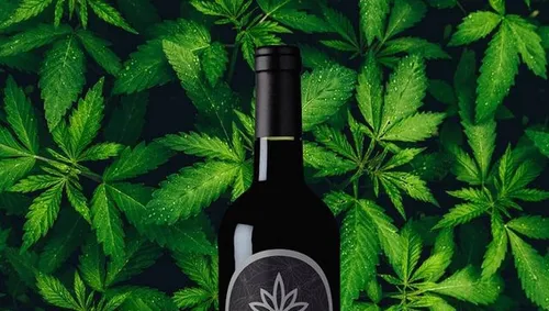 Bordeaux : un producteur lance un vin infusé au cannabis pour...