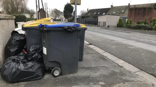 Lot-et-Garonne : un chien retrouvé mort dans une poubelle