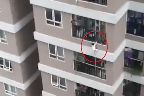 Vietnam : une fillette sauvée par un livreur héroïque après une...