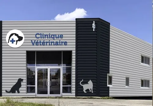 Dentistes et vétérinaires vont désormais pouvoir vacciner contre la...