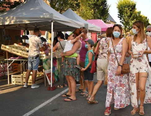 Marseille : le Vieux-Port accueillera un marché d'été