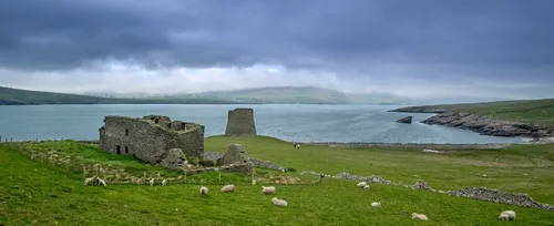 Cherche gardien pour surveiller... une clôture à moutons sur une...