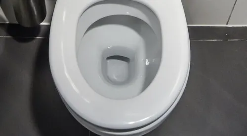 Un python caché dans la cuvette de sa toilette lui mord ses parties...