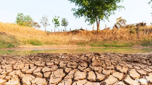 Les Bouches-du-Rhône en vigilance sécheresse