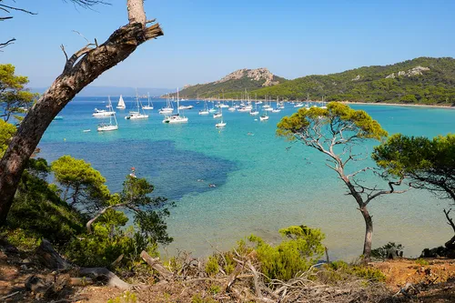 Porquerolles limite le nombre de visiteurs quotidiens cet été