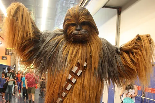 Bretagne : un grand rassemblement de Chewbacca