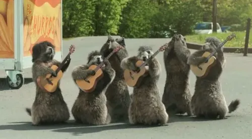 Les célèbres marmottes de France 3 font leurs adieux à la chaîne...