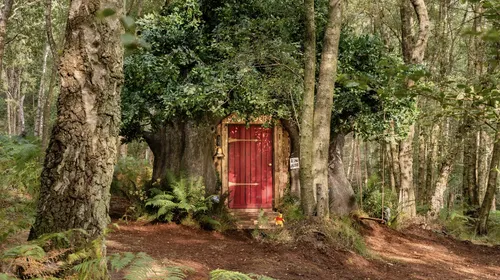 La maison de Winnie est à louer sur Airbnb