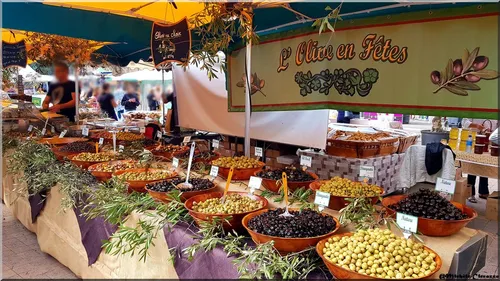 Ollioules : l'olivier à l'honneur ce week-end !