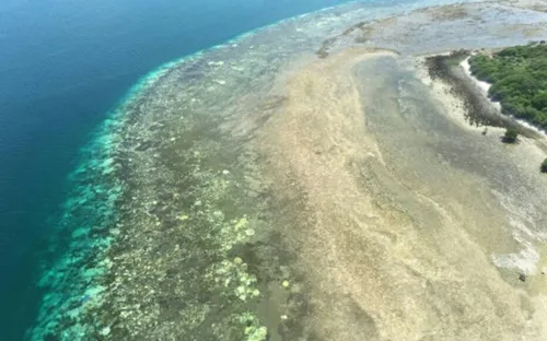 Seuls au milieu du Pacifique, ils survivent 29 jours grâce à de...