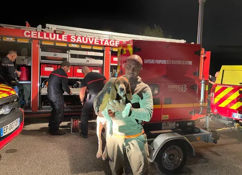 Saint-Rémy-de-Provence : les pompiers sauvent une chienne après une...