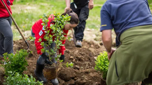 Fos-sur-Mer : la mairie replante 1000 arbres
