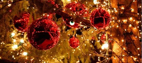 Manosque : des sapins et des décos de Noël de la ville volés