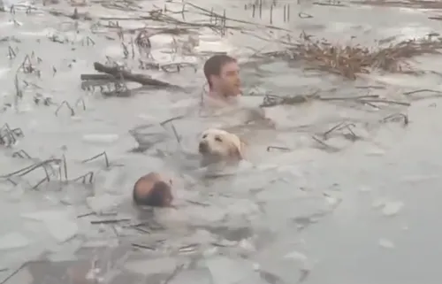 Espagne : la police sauve un chien tombé dans l’eau gelée