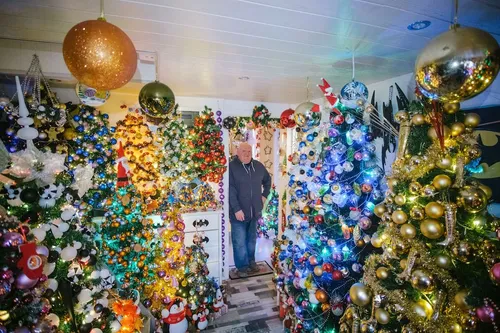 Un couple bat le record mondial du nombre de sapins de Noël