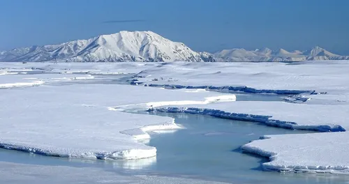 Il a bien fait 38 °C en Arctique, un record en forme de "signal...