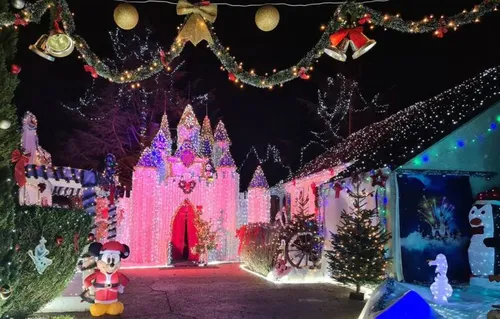 Il crée un gigantesque château inspiré de Disney pour exaucer le...