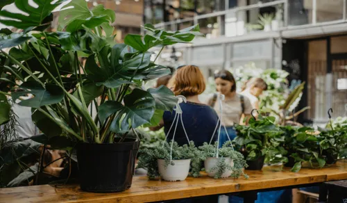 Marseille : Plantes Addict pour trouver des plantes à petits prix